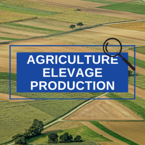 AGRICULTURE ELEVAGE PRODUCTION